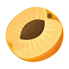 Piece of apricot vector icon.Cartoon vector icon isolated on white background piece of apricot.