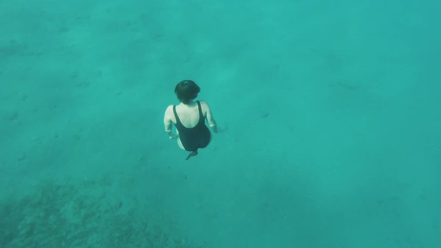 Freediver on corals in Red sea, Beautiful young woman swimming underwater in blue sea water, Dahab Egypt, full hd