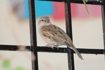 Clicked
