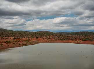 South African wild landscape with pure nature during summer time