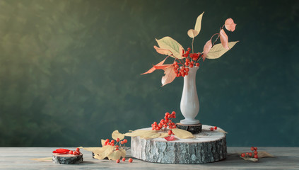 still life with rowan berries on  dark background