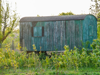 Holztextur