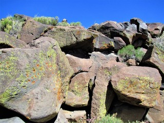 Colorful liken on rocks