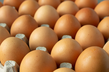 Large flat of brown eggs