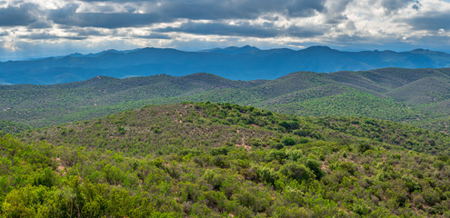 South African wild landscape with pure nature during summer time