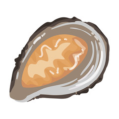 Oyster vector icon.Cartoon vector icon isolated on white background oyster.