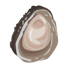 Oyster vector icon.Cartoon vector icon isolated on white background oyster.