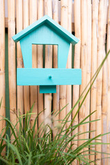bird feeder in a garden