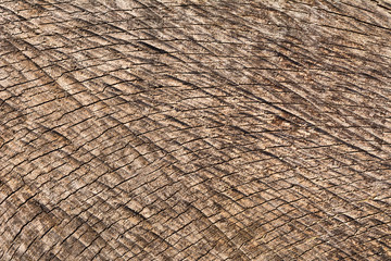 Texture of a wooden surface
