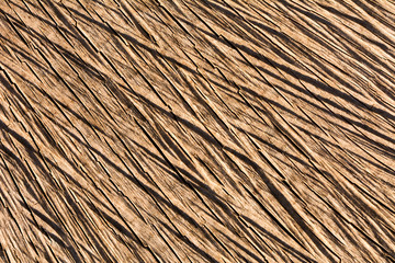 Texture of a wooden surface
