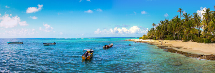 tropical beach with palm trees