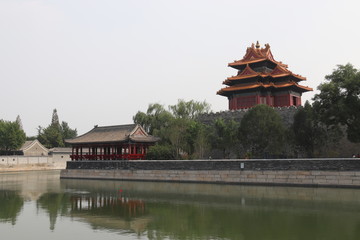 Douve de la Cité interdite à Pékin, Chine	