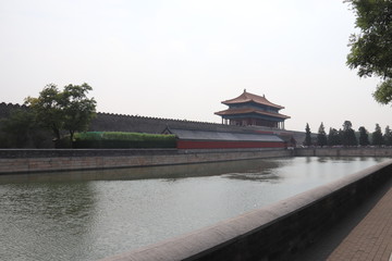 Douve de la Cité interdite à Pékin, Chine	
