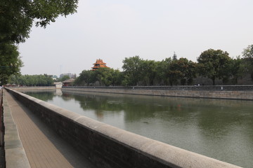 Douve de la Cité interdite à Pékin, Chine