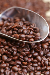 coffee beans