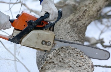 powerful chainsaw professionals