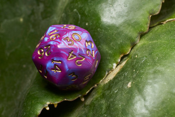 D30 Gaming dices in the green lush leaves roleplaying rpg
floral background isolated playing
