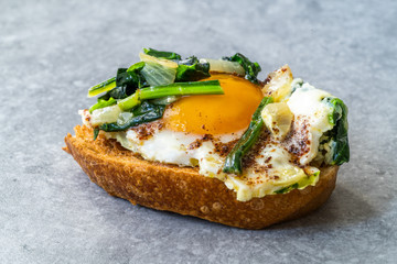 Cooked Spinach with Fried Egg on Toast Bread Slice.