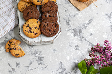 Chocolate Chip Cookies. Homemade baking. Round shape, not big. On a light gray background.