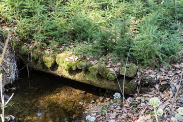 historical Schwarzenberg canal transportatino water way  in Sumava wood