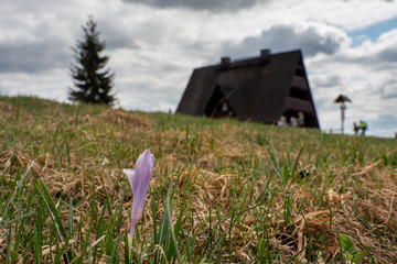Krawcow Wierch beatiful lanscape view Beskid Zywiecki © TOMASZ