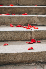 Red rose petals are scattered on the steps. Photography, concept. Wedding ceremony.