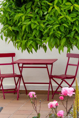 Fototapeta na wymiar Red garden table and chairs under an orange tree and surrounded by roses and aloe flowers