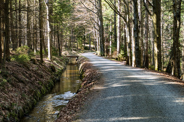 Obraz premium historical Schwarzenberg canal transportatino water way in Sumava wood
