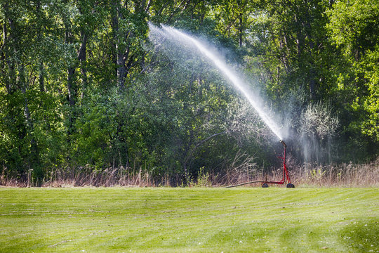Bew&auml;ssern von Rasen 