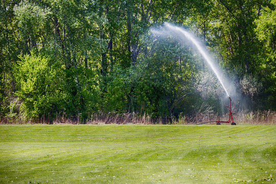 Bew&auml;sserungsanlage mit Wasserstrahl und Rasen