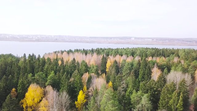 Aerial view of the wide river and the autumn forest on cloudy sky background. Stock. Flying over the tree tops and calm river on the autumn sunny day.