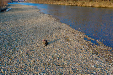 Garbage near the river. Environmental pollution shore