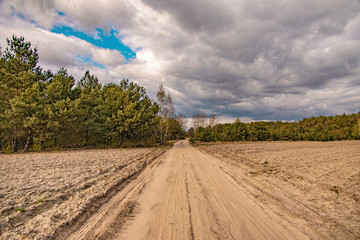  spring landscape with a dirt road, fields, trees and sky with clouds in Poland