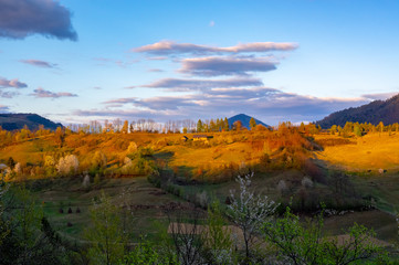 Beautiful Landscape with sunset light and blooming trees