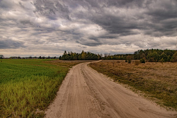 Fototapeta na wymiar spring landscape with a dirt road, fields, trees and sky with clouds in Poland