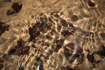 The sandy bottom of the stream through the waves of water