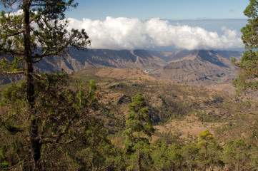 Fototapeta na wymiar Integral Natural Reserve of Inagua, Mogan ravine and Veneguera ravine. Mogan. Gran Canaria. Canary Islands. Spain.