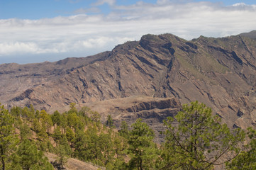 Integral Natural Reserve of Inagua, Mesa del Junquillo and Tamadaba Natural Park. Gran Canaria. Canary Islands. Spain.