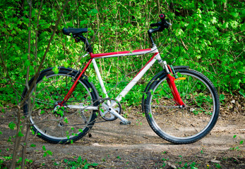 Fototapeta na wymiar Retro mountain bike in the forest