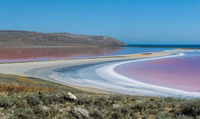 Brine and salt of a pink lake Koyash colored by microalgae Dunaliella salina, famous for its...