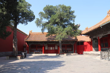 Cité interdite à Pékin, Chine