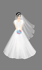 Fototapeta premium Bride Isolated on a gray