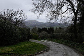 Winding English roads