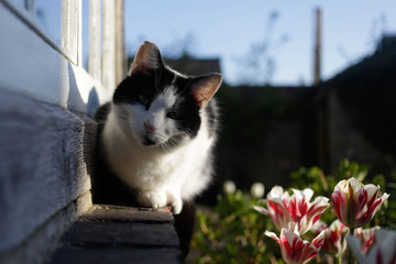 Who are you looking at?