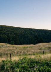 Okanagan Landscape