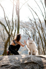 Young woman in sportswear with a dog samoyed in the forest. The girl kneels beside the dog. Happy dog gives paw to owner. Walks with dog, spring time