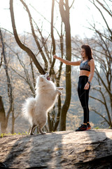 Beautiful girl in sportswear playing with a Samoyed dog while walking in the park outdoors. A woman...