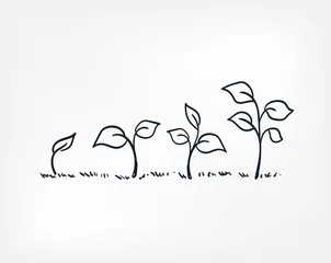 Tuinposter plant growing line art doodle vector symbol sign concept © CharlieNati