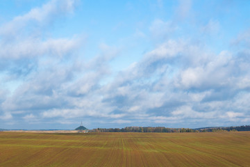 Obraz premium Plowed field with green sprouts on a background of blue sky