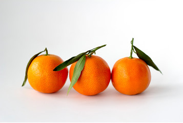 Three tangerines with green leaves on a white background.